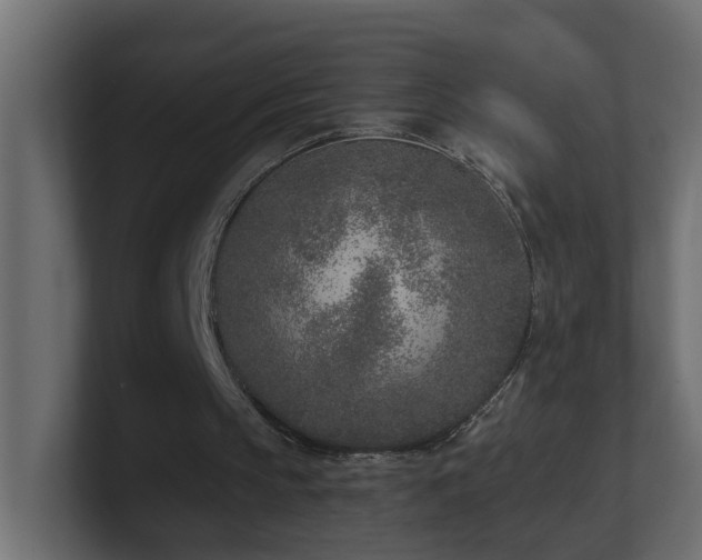 X0000100910145200806241320