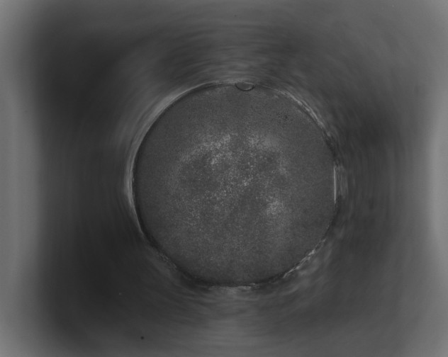 X0000100910147200806241320