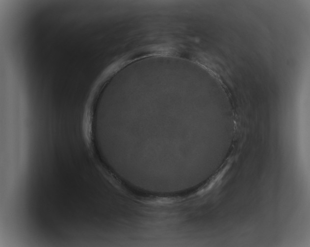 X0000100910149200806241320