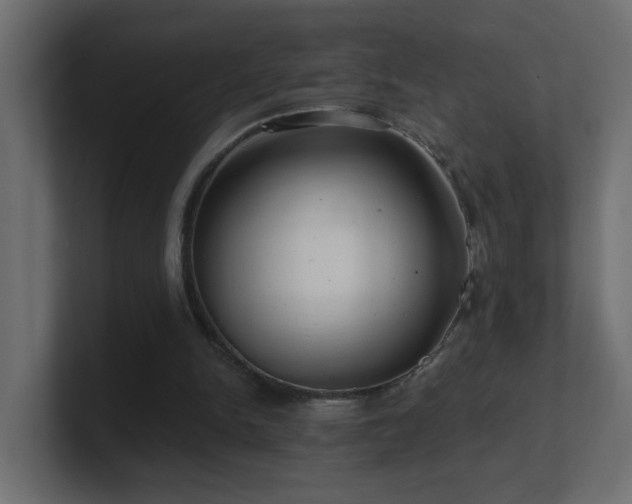 X0000100910150200806241320