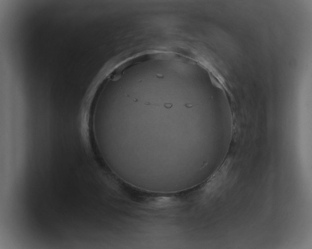 X0000100910151200806241320