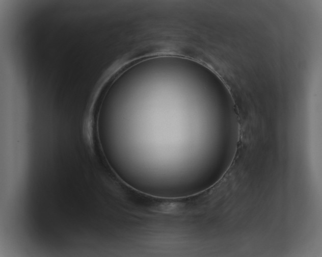 X0000100910152200806241320