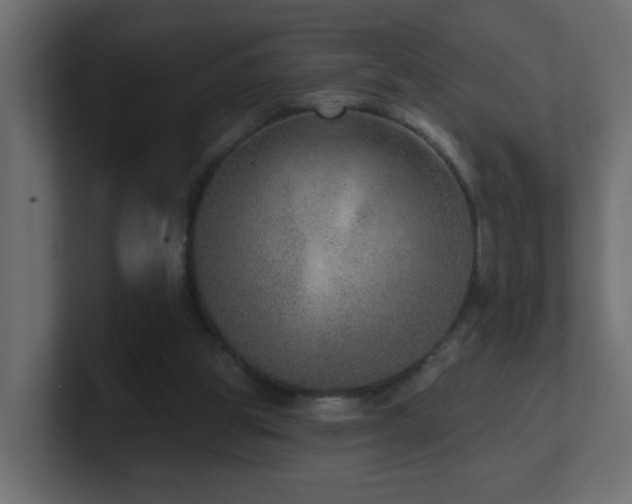 X0000100910153200806241321