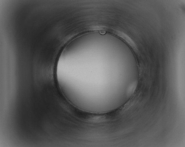 X0000100910155200806241321