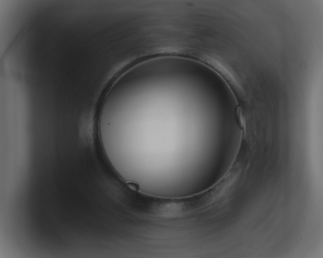 X0000100910156200806241321
