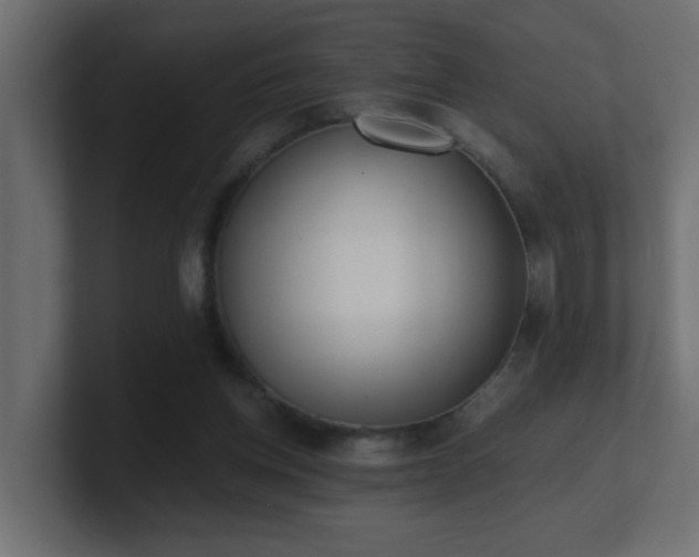 X0000100910158200806241321