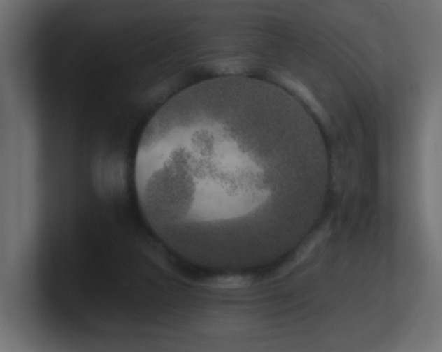 X0000100910161200806241321
