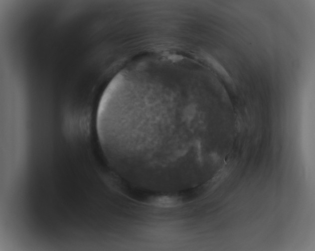 X0000100910163200806241321
