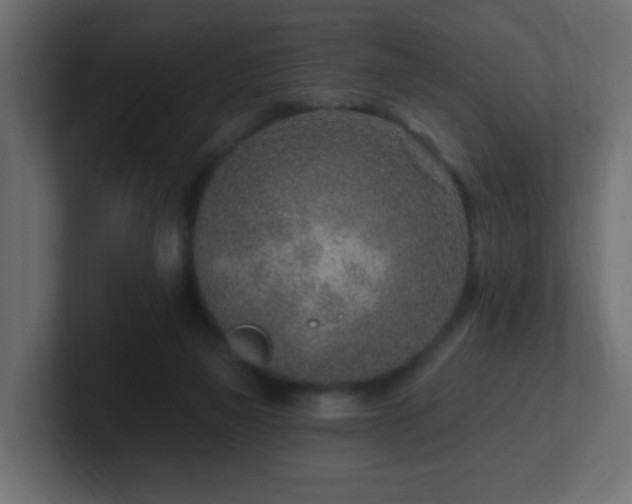X0000100910165200806241321