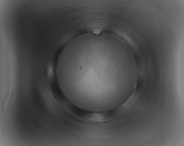 X0000100910166200806241321