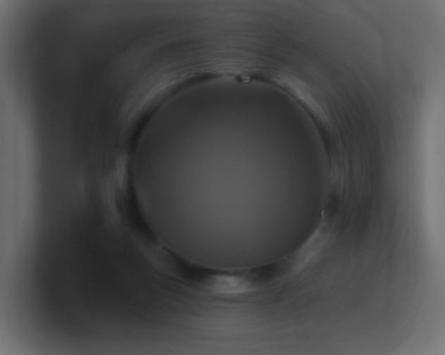 X0000100910167200806241321