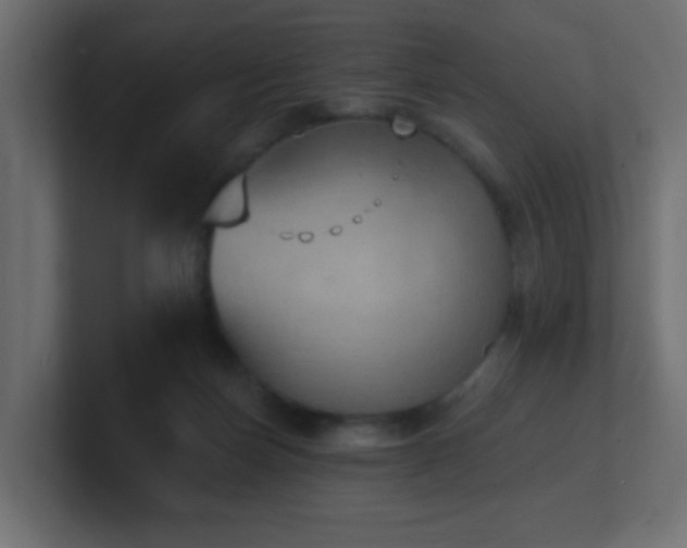 X0000100910171200806241321