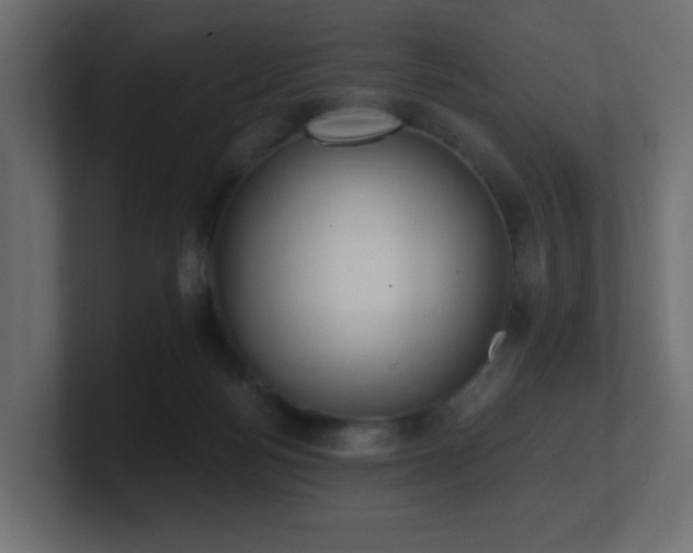 X0000100910172200806241321