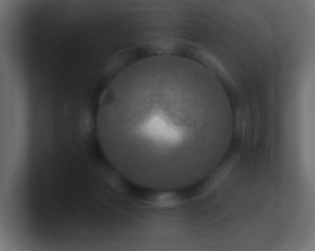 X0000100910173200806241321