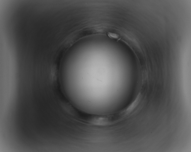 X0000100910174200806241321