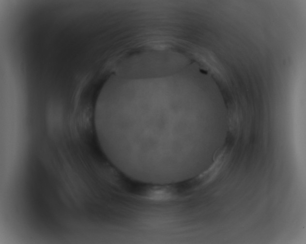 X0000100910175200806241321