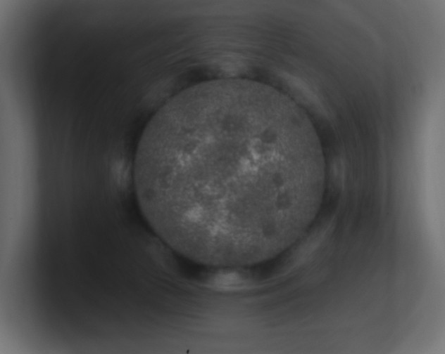 X0000100910177200806241321