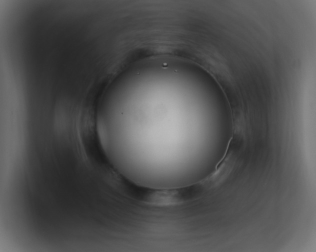 X0000100910179200806241321