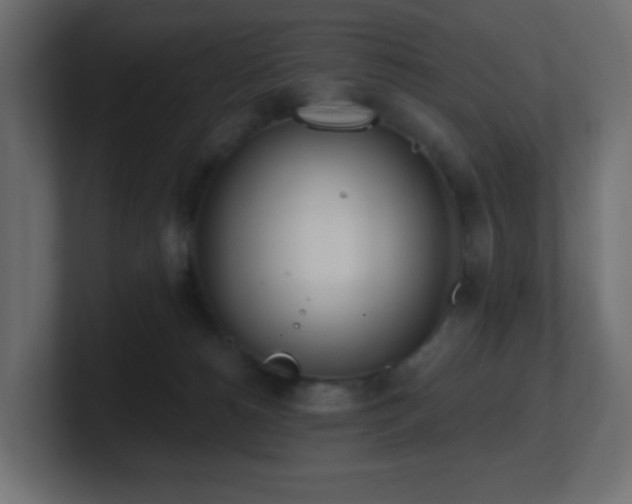 X0000100910180200806241321