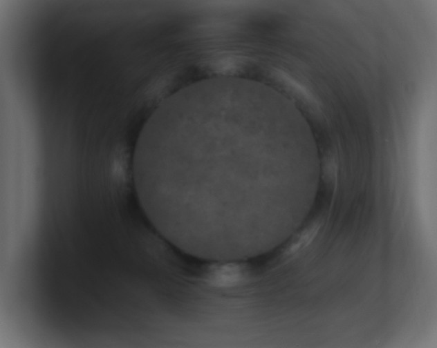 X0000100910181200806241321