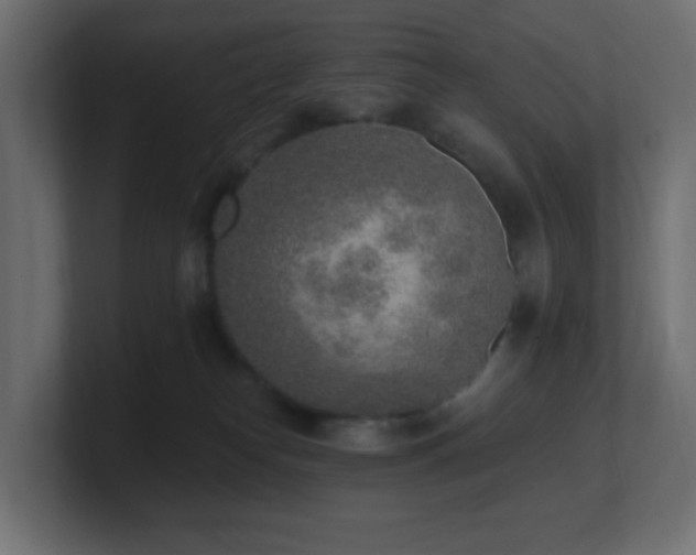 X0000100910182200806241321