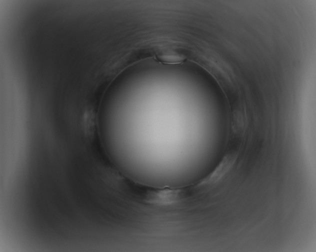 X0000100910184200806241321