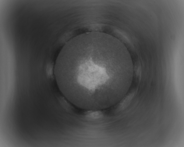 X0000100910185200806241321