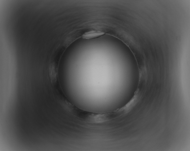 X0000100910186200806241321