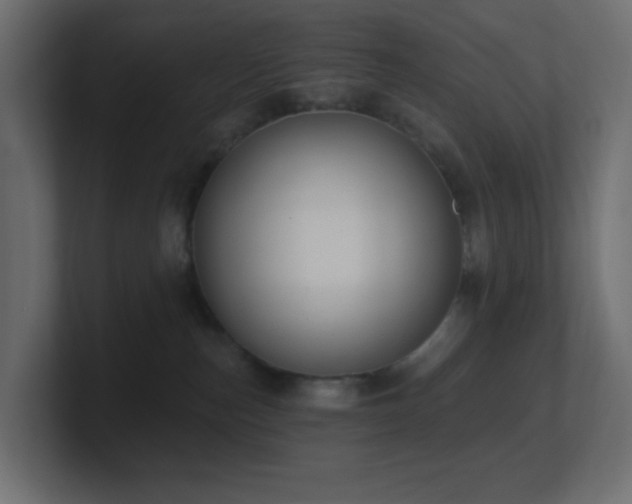 X0000100910187200806241321