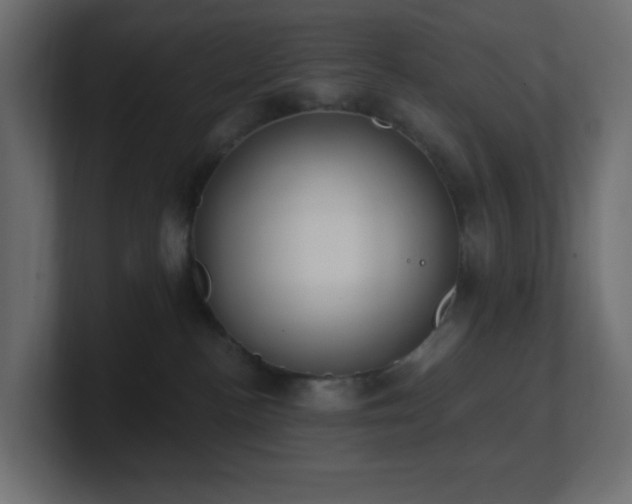 X0000100910188200806241321