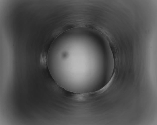 X0000100910190200806241321