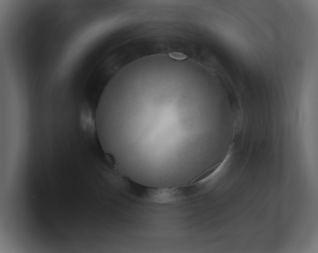 X0000100910191200806241321