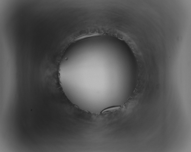 X0000100910192200806241321