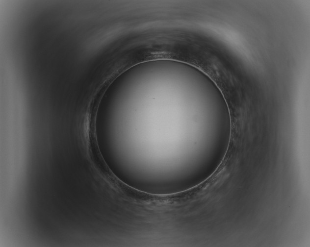 X0000100910194200806241320