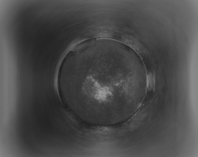 X0000100910195200806241320