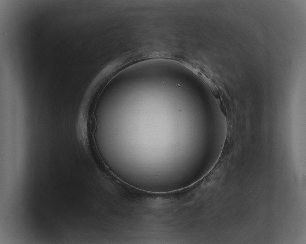 X0000100910197200806241320