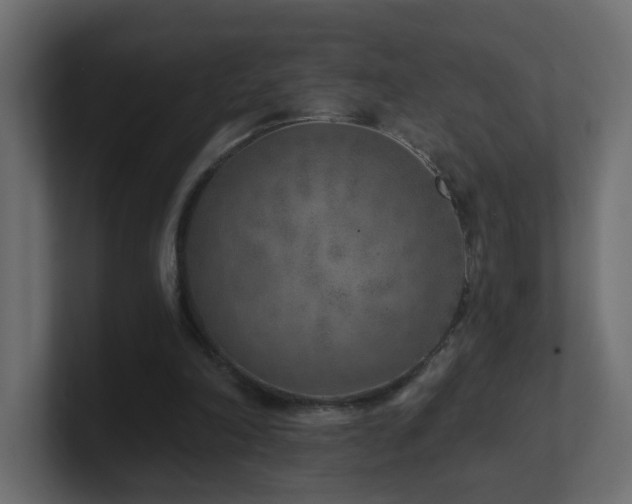 X0000100910198200806241320