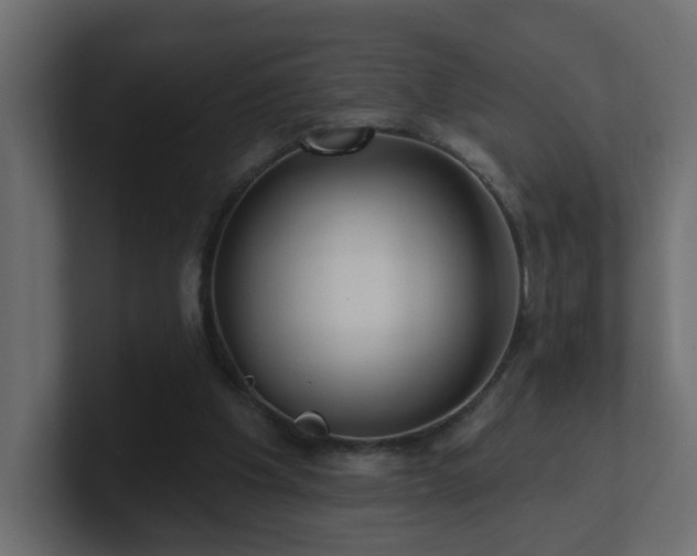 X0000100910201200806241320