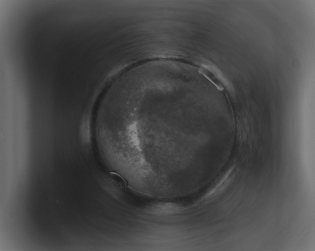 X0000100910203200806241320
