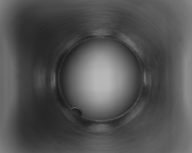 X0000100910205200806241320