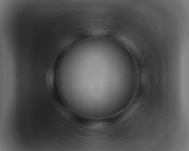 X0000100910206200806241320