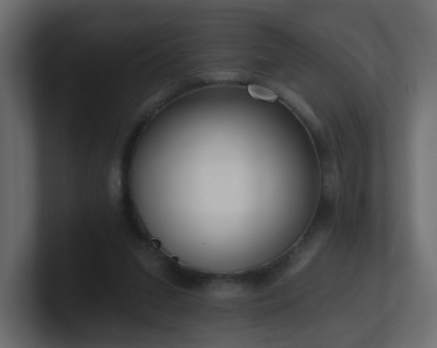 X0000100910207200806241320