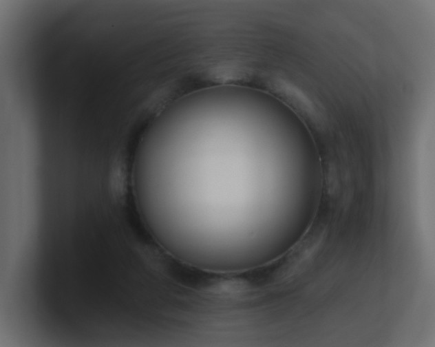 X0000100910210200806241320