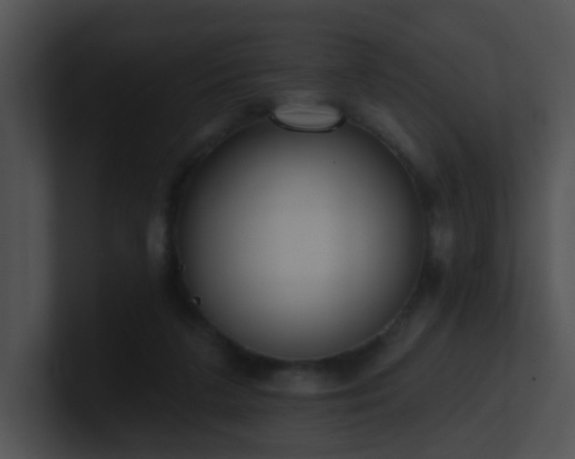 X0000100910211200806241320