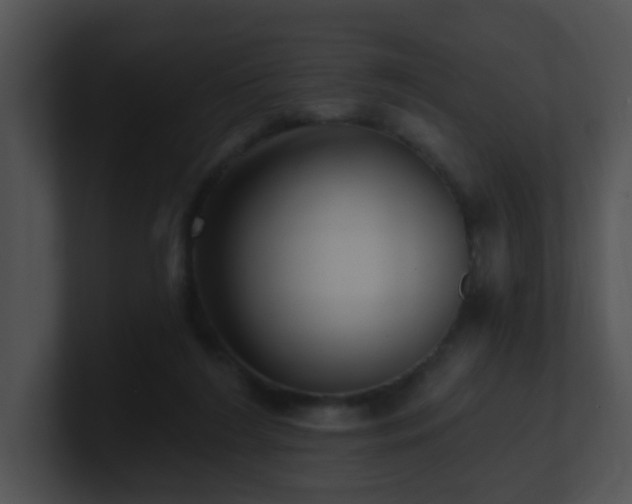 X0000100910212200806241320