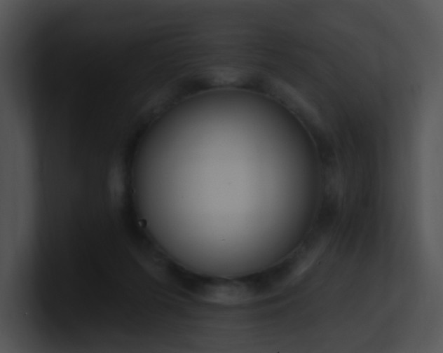 X0000100910215200806241320