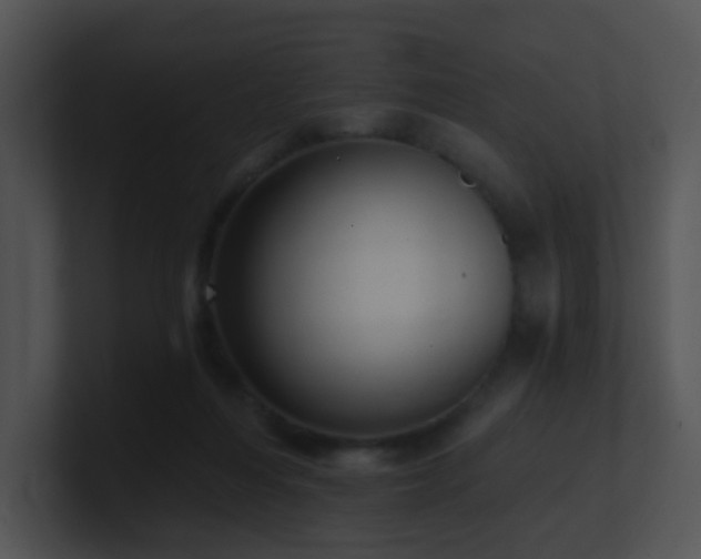 X0000100910216200806241320