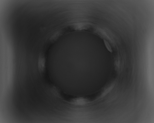 X0000100910219200806241320