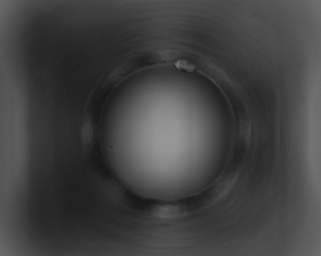 X0000100910220200806241320