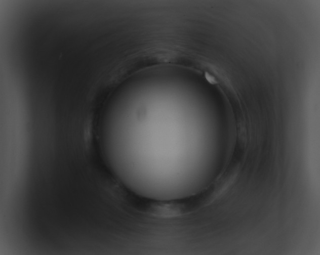 X0000100910221200806241320